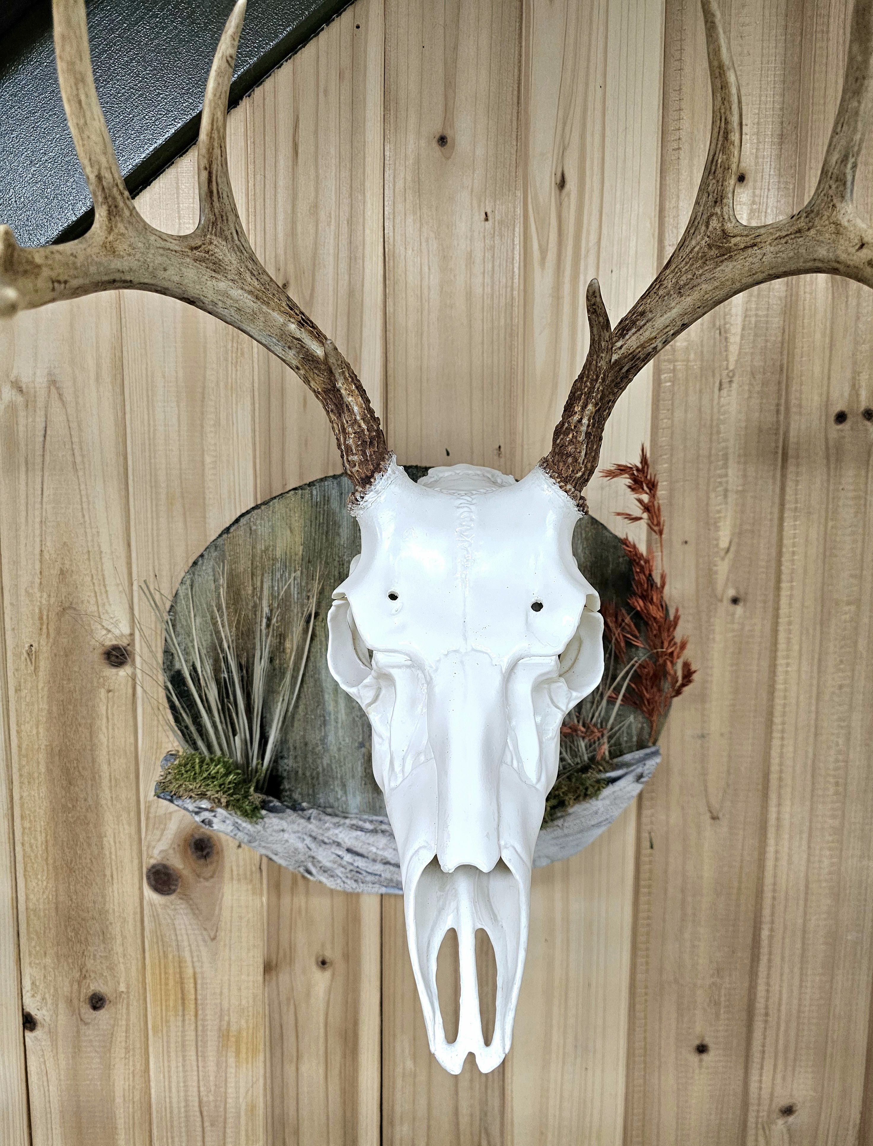 barn wood wall display