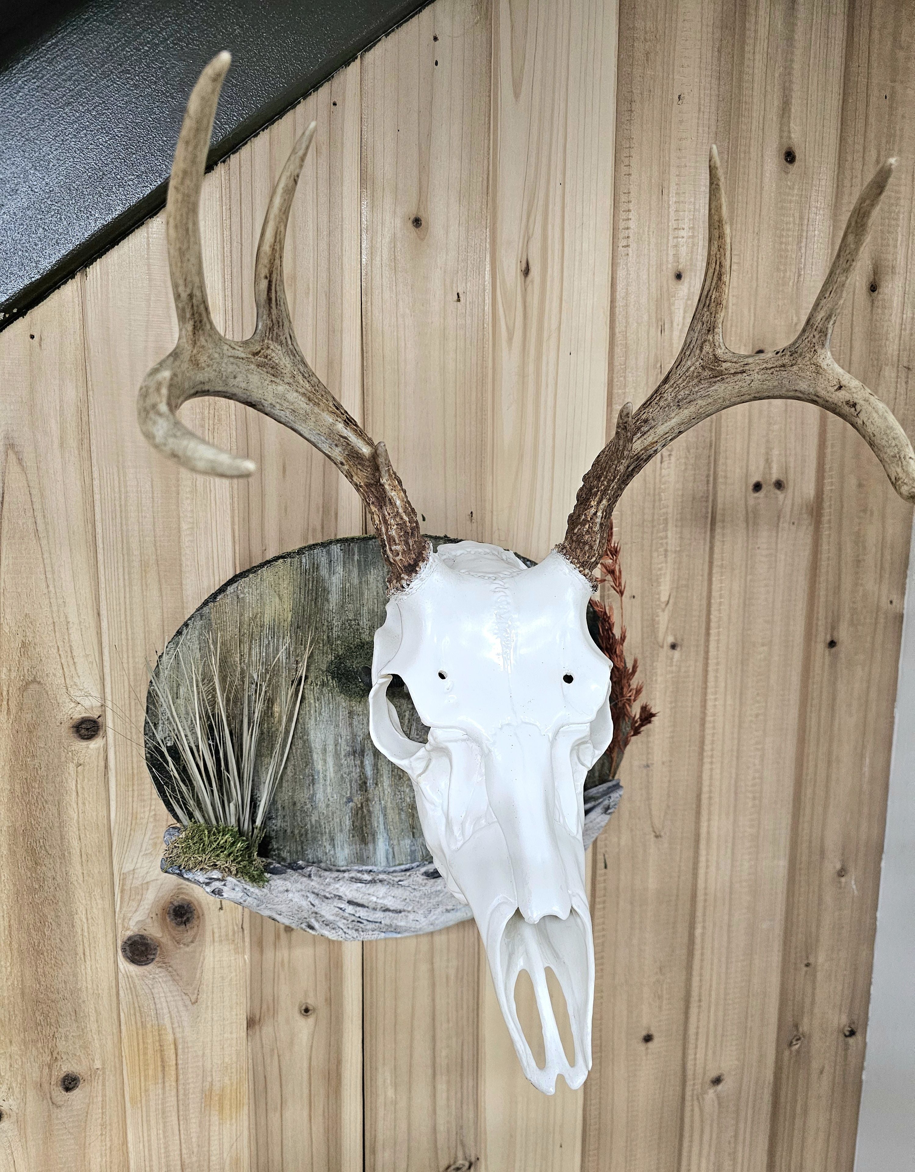 barn wood wall display