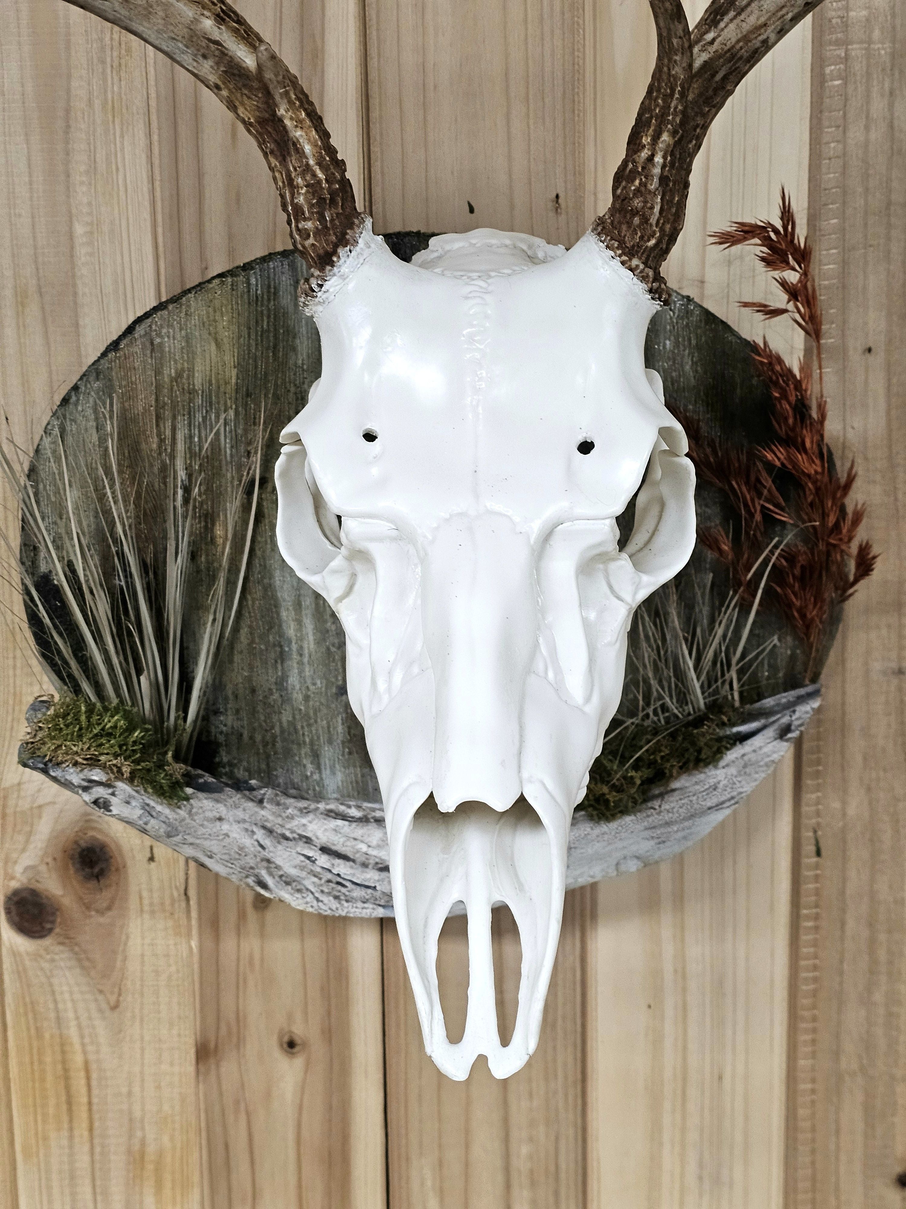 barn wood wall display