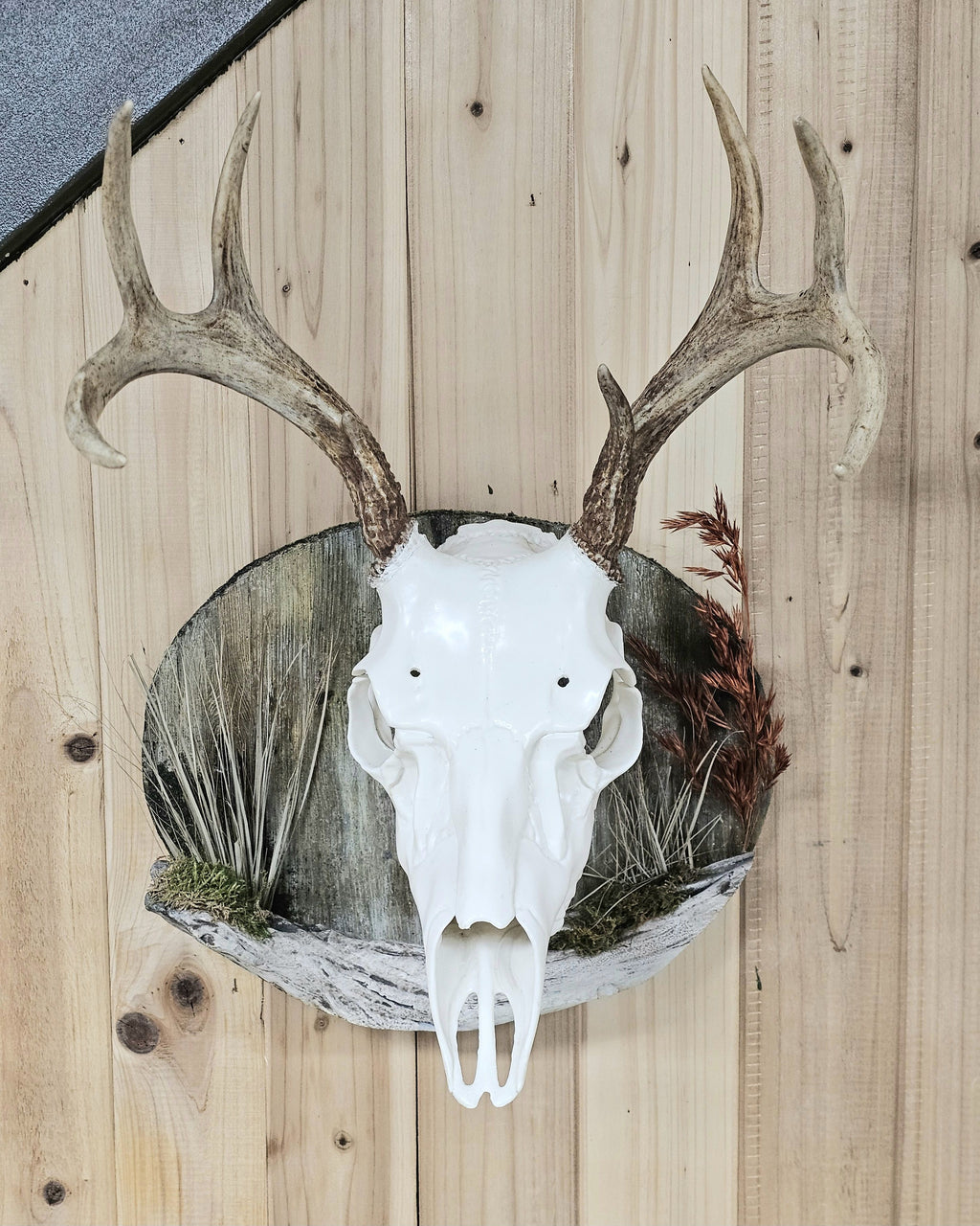 barn wood wall display