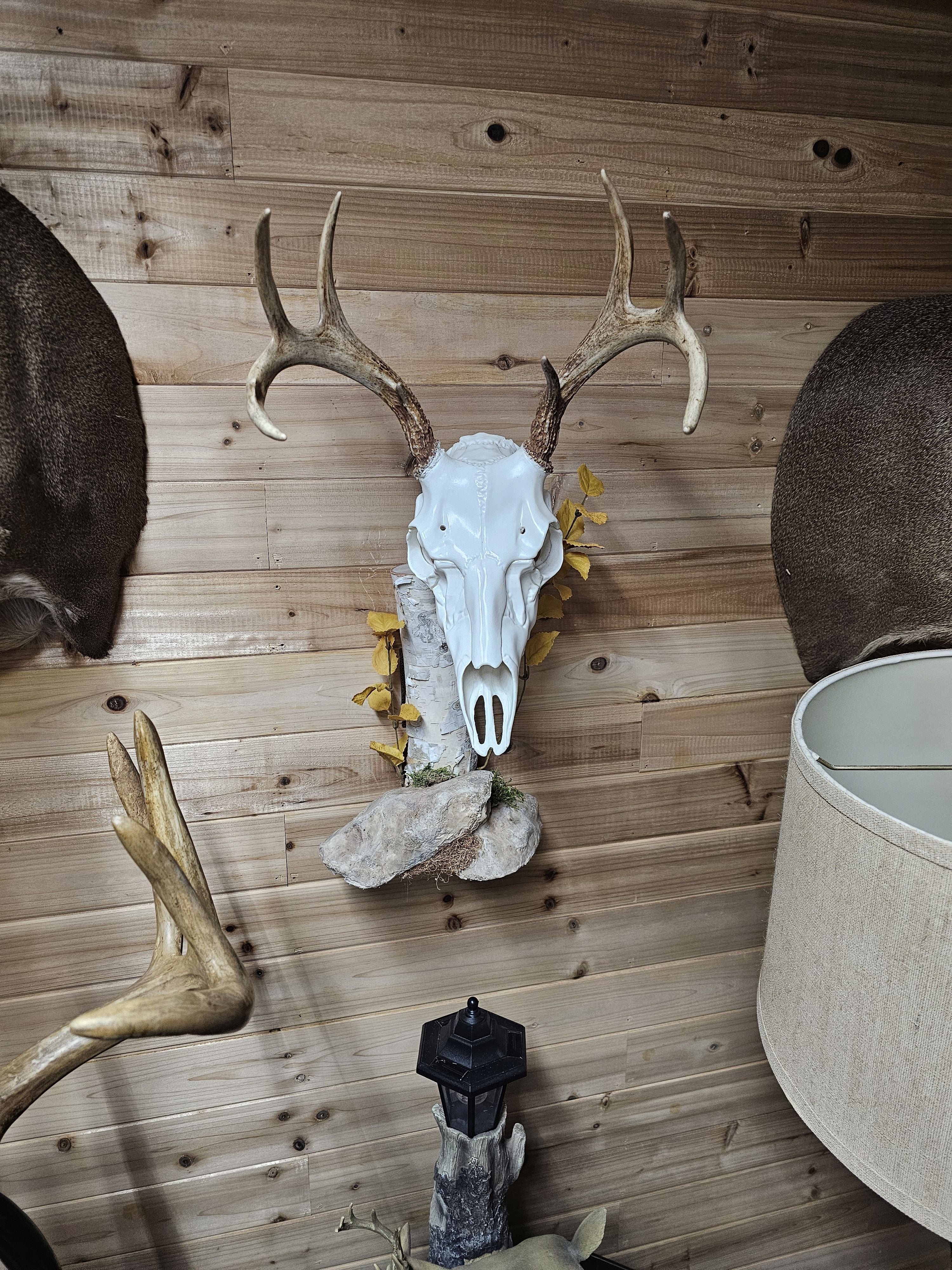 birch log wall display