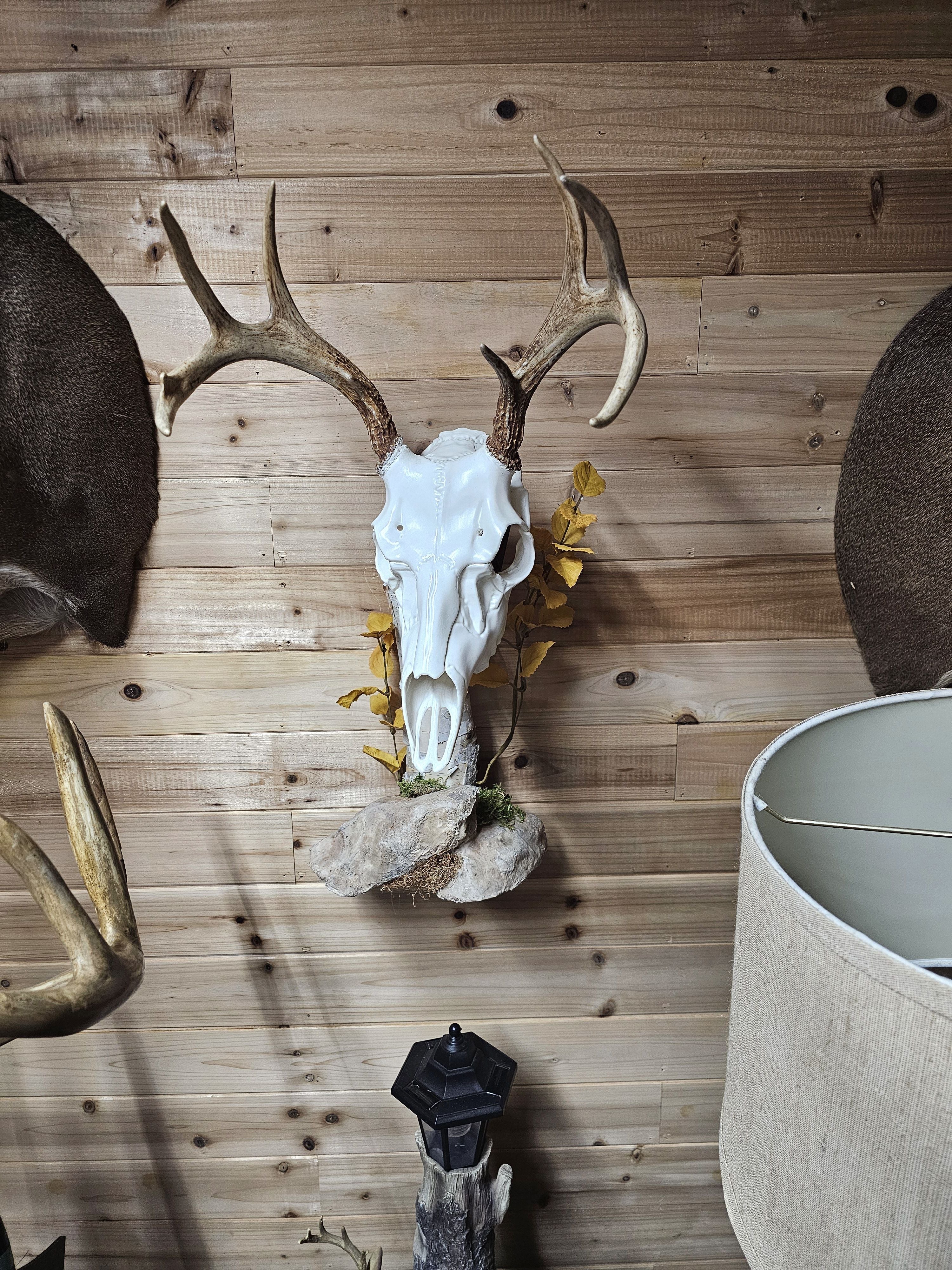 birch log wall display