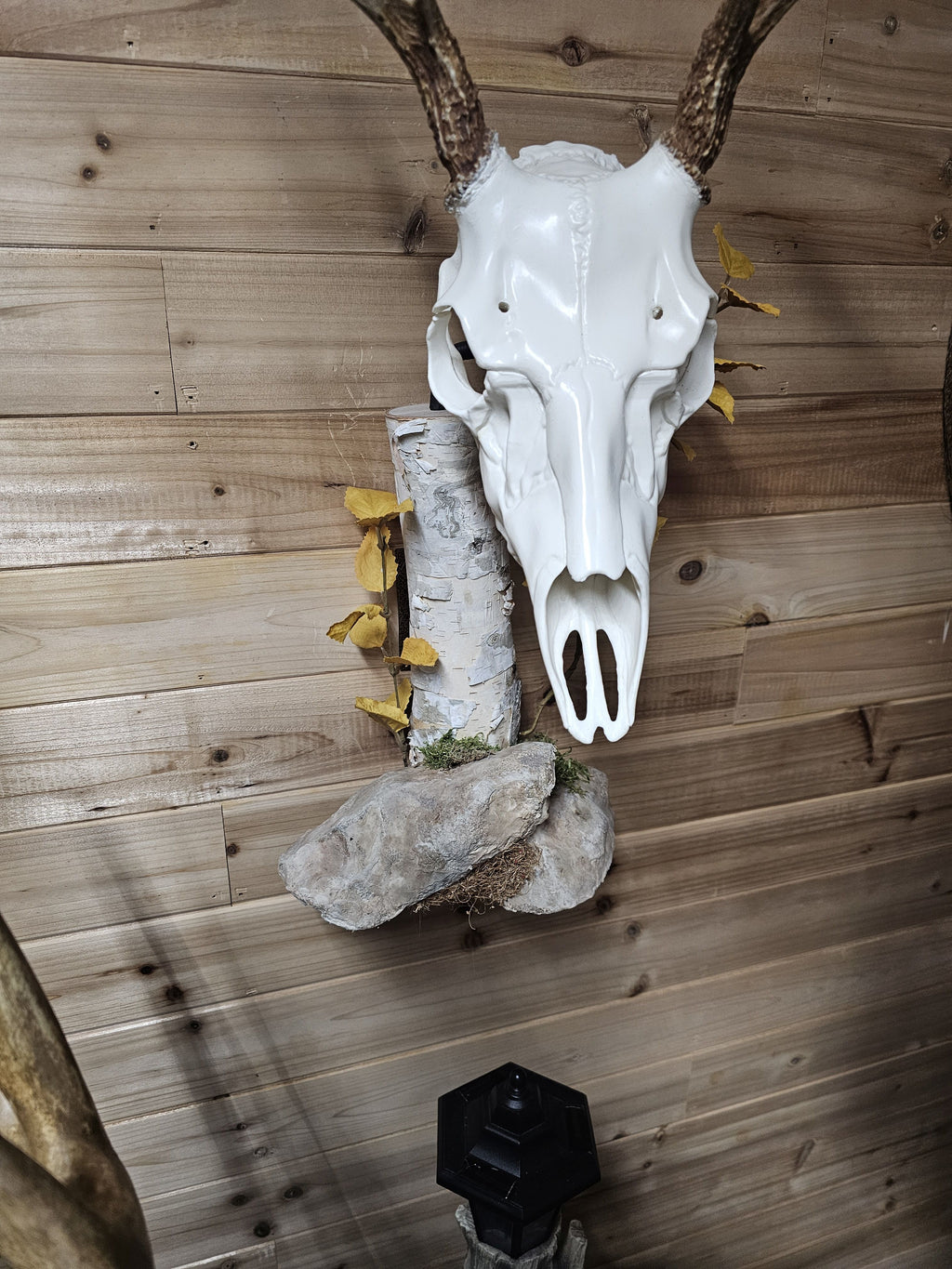 birch log wall display