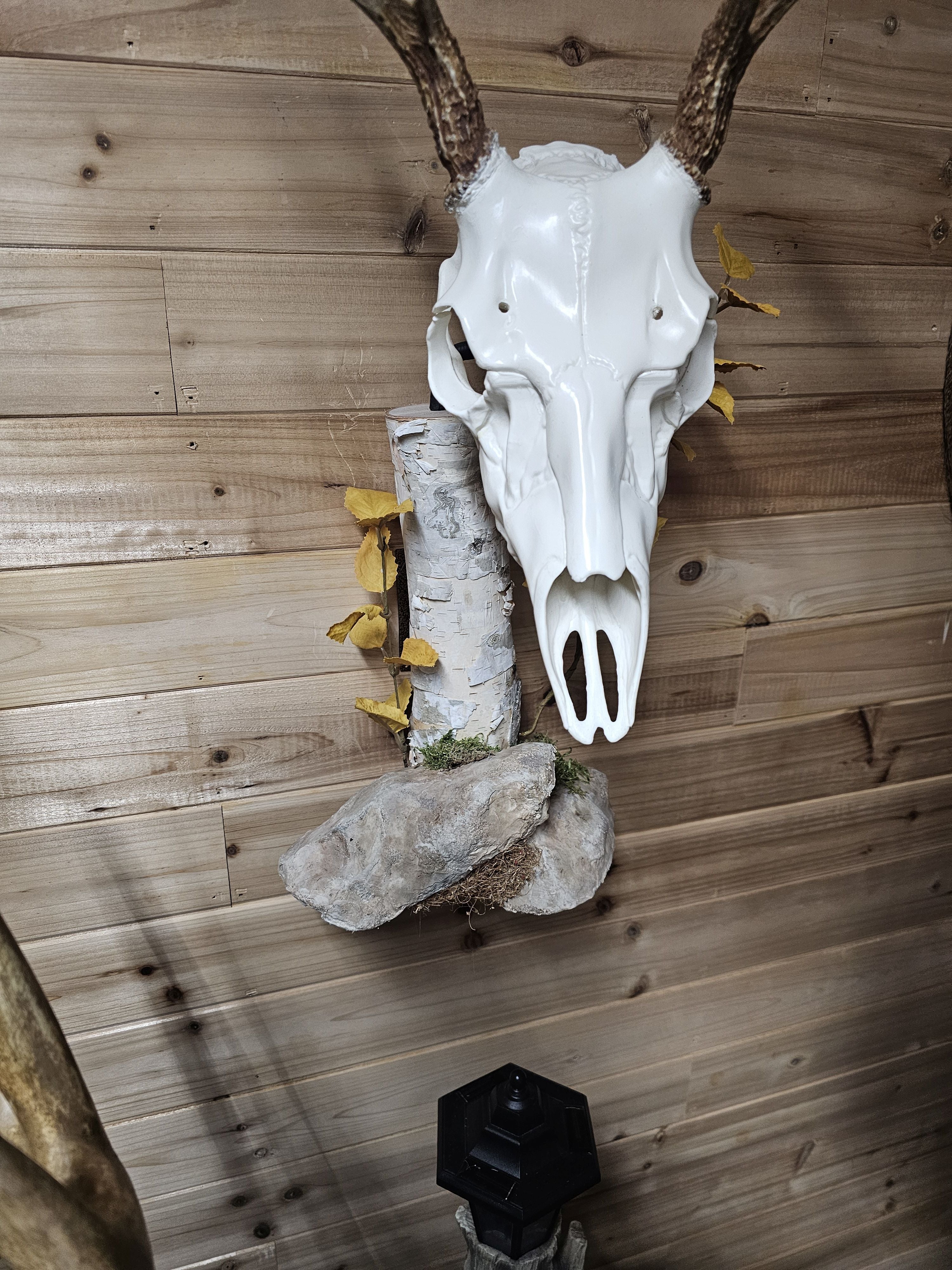 birch log wall display