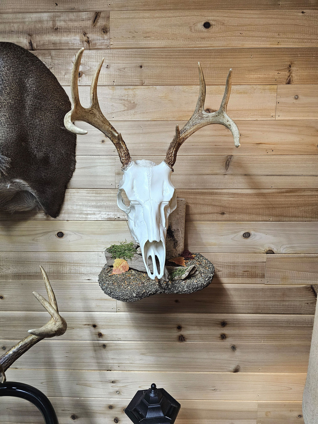 Wall or Table Top Euro display