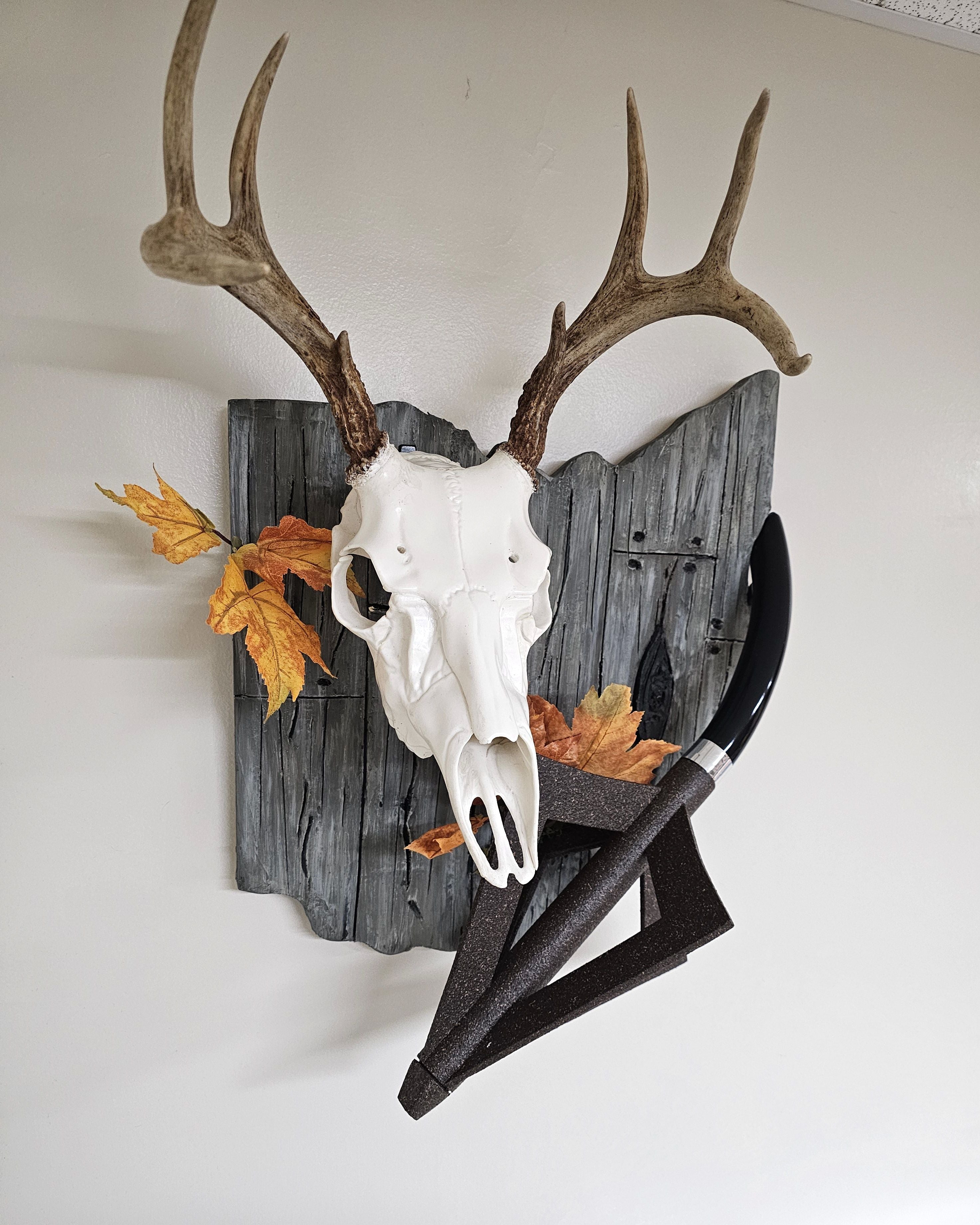 State European Displays