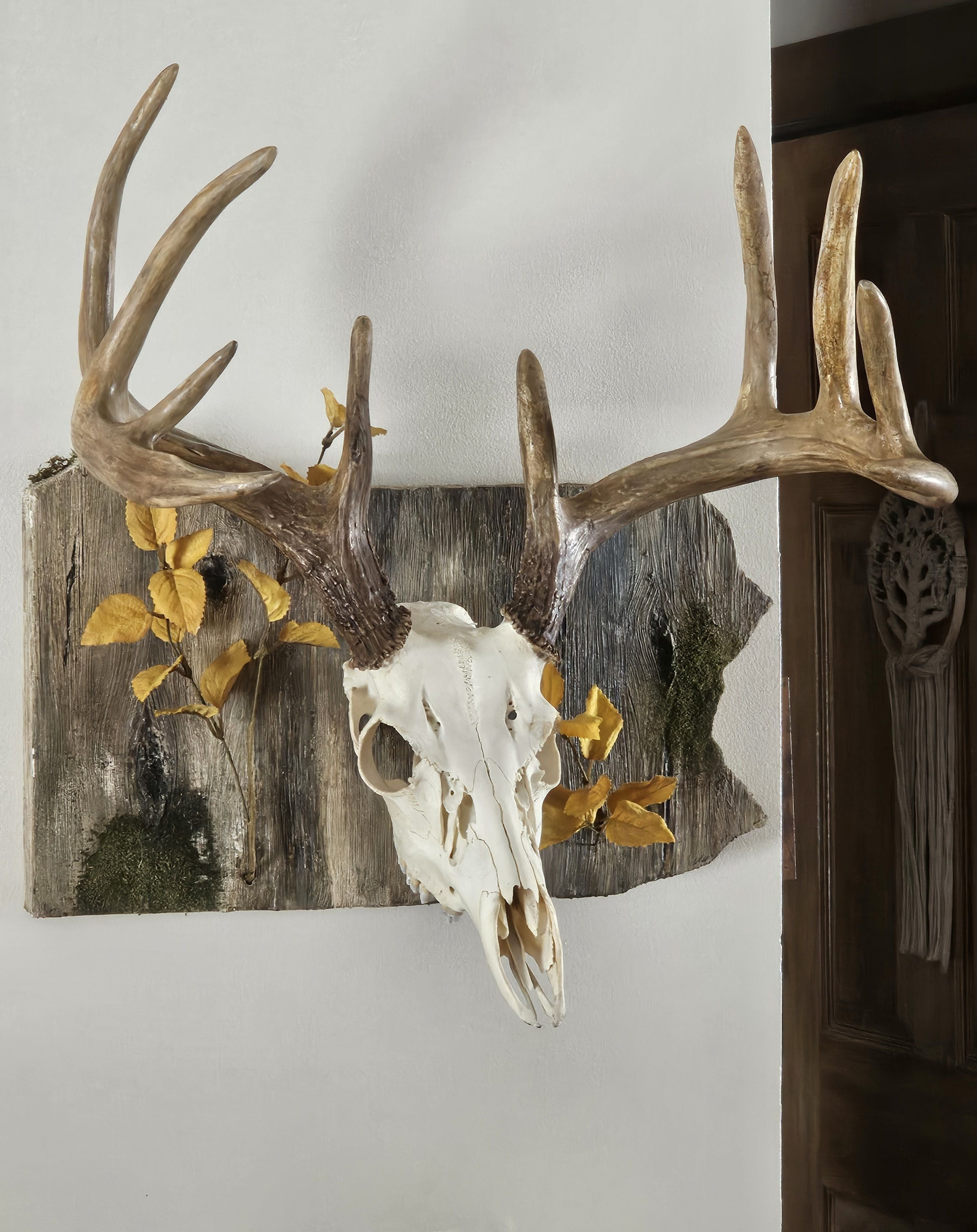 State European Displays