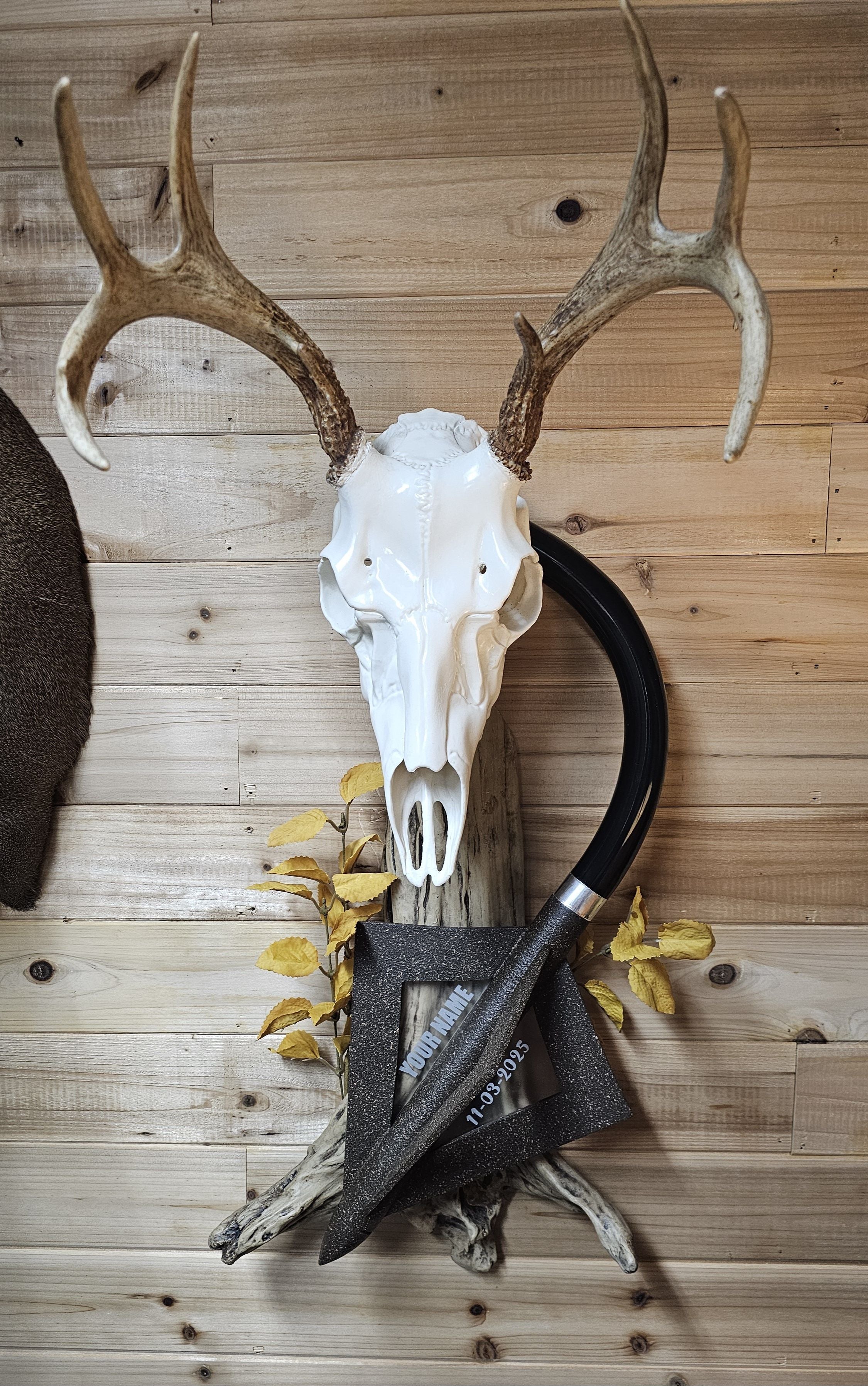 European mount wall display