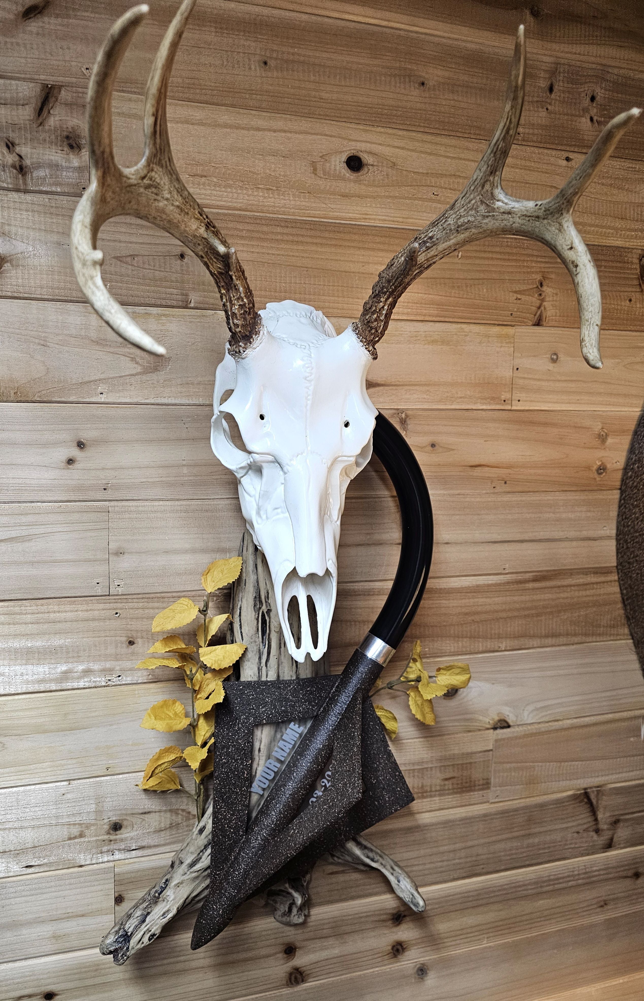 European mount wall display