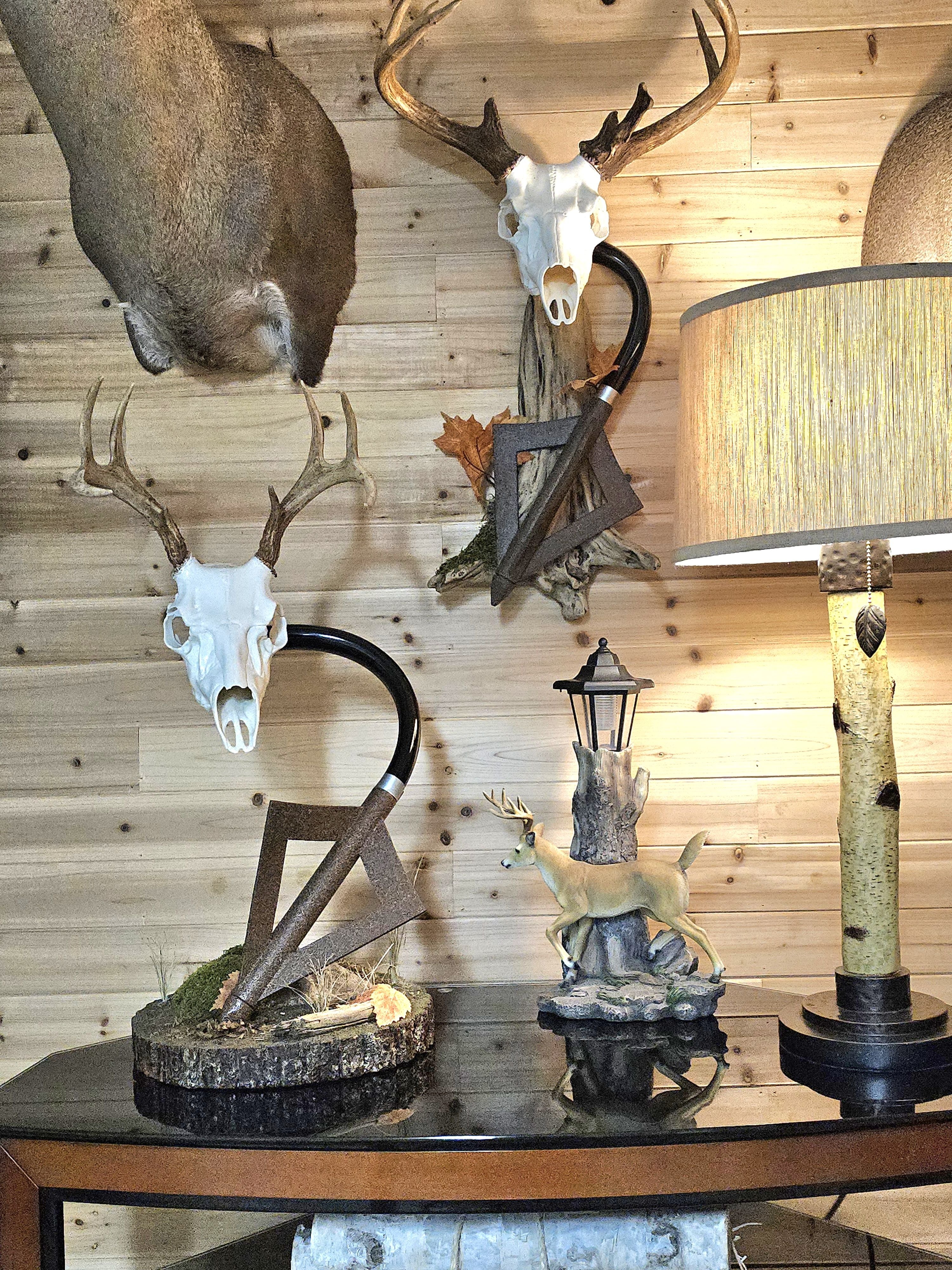 Table top european mount display.